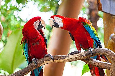 《风来的希炼6》新DLC后篇上线 新角色迷宫登场